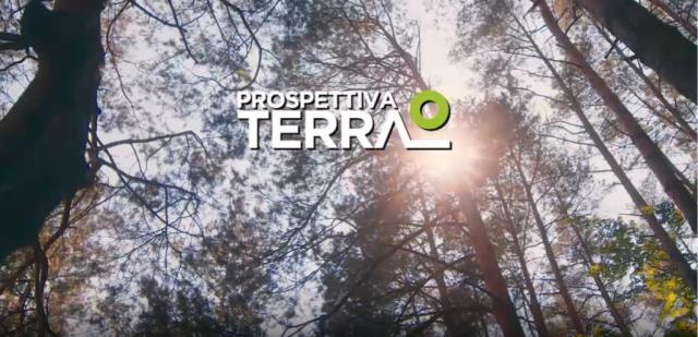 Prospettiva Terra, al via il progetto di monitoraggio delle piante sotto direzione di Stefano Mancuso