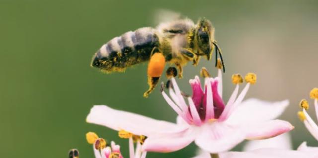 Green Oleo, societ&agrave; quotata su Euronext Growth Milan, presenta la sua strategia di crescita