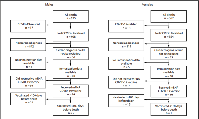 Oregon, morti improvvise in adolescenti e giovani adulti: "40 persone decedute per vaccino mRNA, 30 per il Covid" - LO STUDIO DI CDC