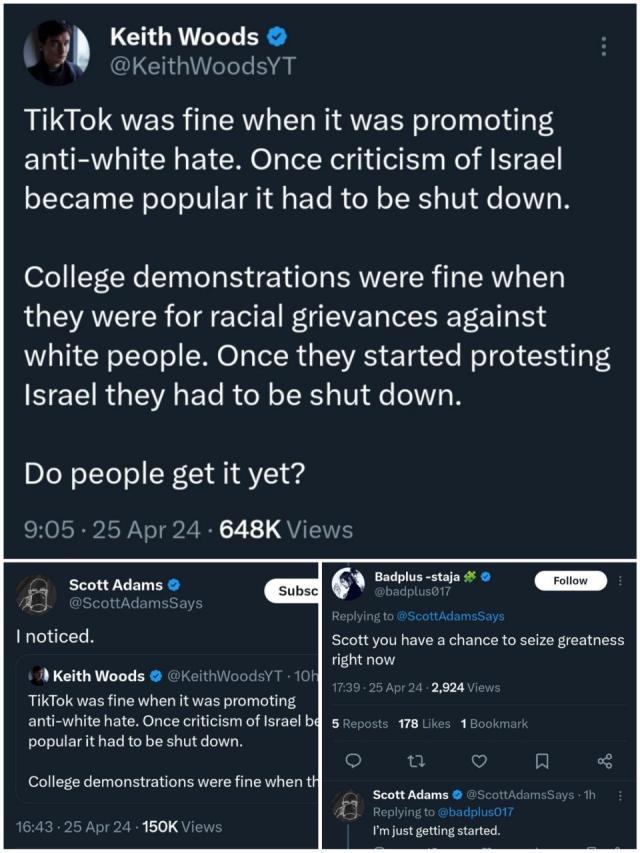 TikTok al bando negli Usa, il web: "Quando promuoveva l'odio contro i bianchi andava bene, se si critica Israele deve essere repressa"