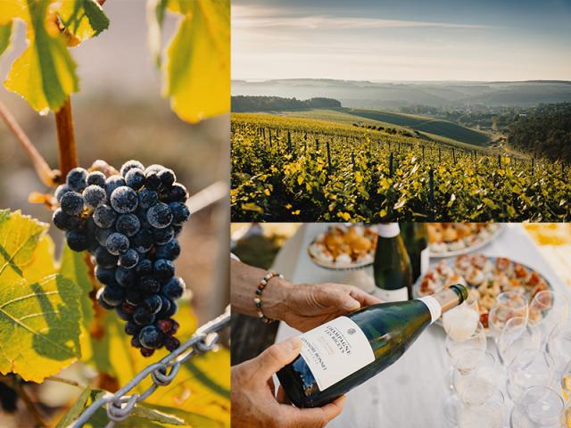 Un territorio che unisce Champagne e Borgona, dove il Domaine Alexandre Bonnet rivendica vini e bollicine unici e particolari.