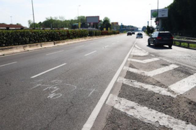 Milano, gatto buttato dal finestrino di un'auto in corsa in viale Forlanini e morto, bufera social: "Servono pene pi&ugrave; severe"