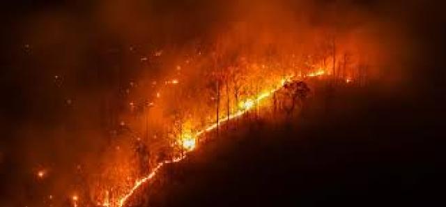 Italtel, realizzata la piattaforma&nbsp;&ldquo;Fire Monitoring&rdquo; per Rap Palermo, monitorare gli incendi grazie all'AI