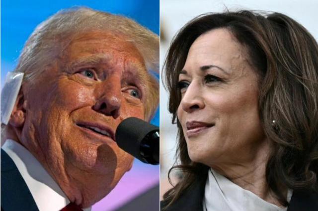 Harris avanti nei sondaggi, ma dovr&agrave; affrontare immigrazione e inflazione per battere Trump
