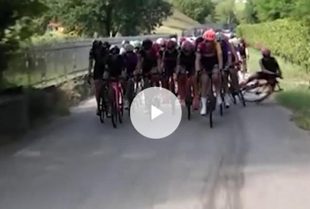 Chi &egrave; Alice Toniolli e come sta dopo la caduta in bicicletta a Treviso, i medici: "Non &egrave; in pericolo di vita, ma prognosi riservata"