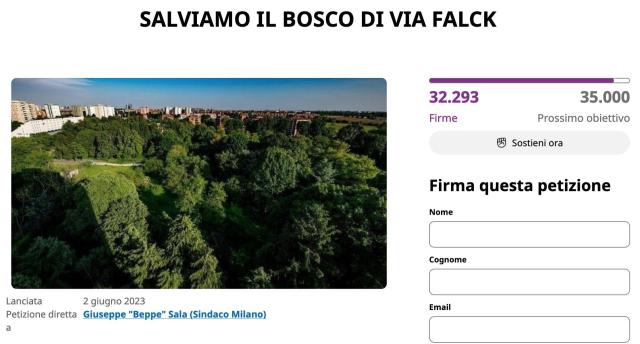 Milano taglio alberi petizione  firme abbattimento piante bosco via Falck Beppe Sala Elena Grandi