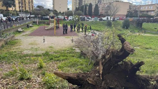 Roma, il vento forte sradica un albero che crolla in un parco, una donna morta e una ferita, illesi i bambini nelle vicinanze