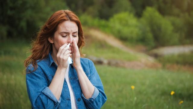 Hmpv, l'allarmismo sul virus "simile al comune raffreddore" arriva in Ucraina, 13 casi, Oms: "Virus comune che circola in inverno"