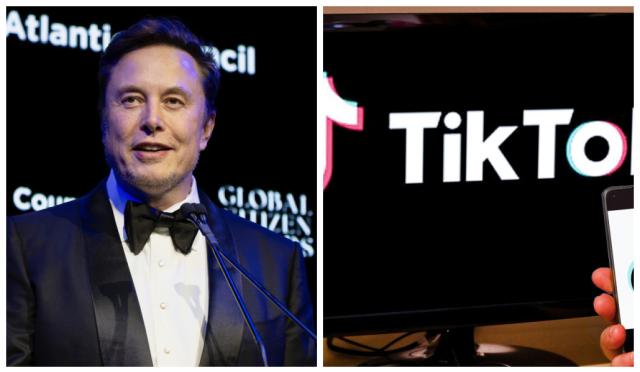 "Elon Musk compra TikTok, la Cina valuta la vendita della divisione statunitense per aggirare il bando negli Usa"
