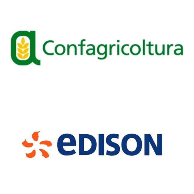 Edison e Confagricoltura, energia e agricoltura, una strategia condivisa a supporto della decarbonizzazione del settore