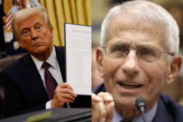 Donald Trump e Anthony Fauci