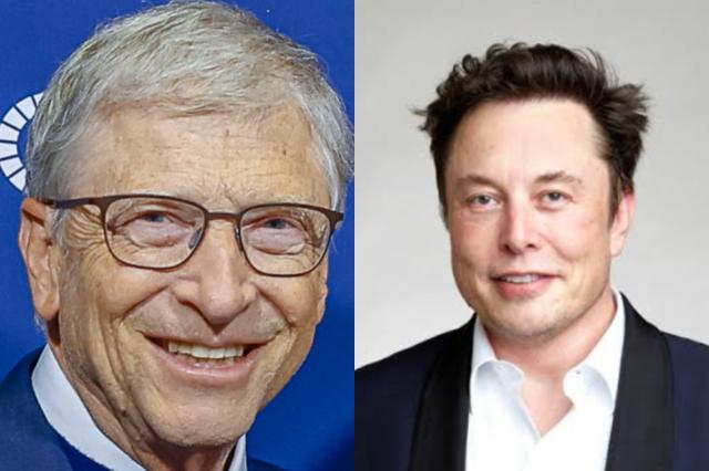 Bill Gates e Elon Musk