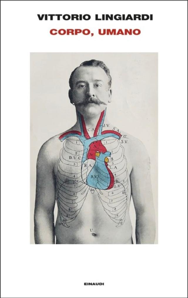 Premio Bagutta 2025, Vittorio Lingiardi trionfa con Corpo, umano, riconoscimento per l&rsquo;opera prima a Marta Lamalfa