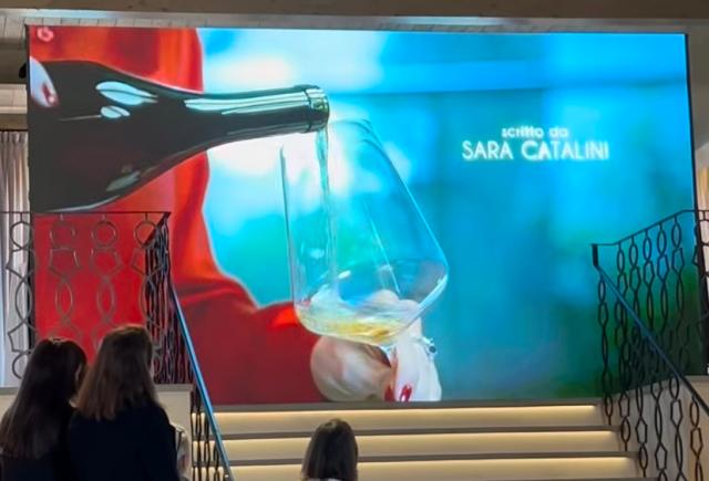 presentazione del documentario &ldquo;DiVine&rdquo;, opera realizzata da Rai Documentari