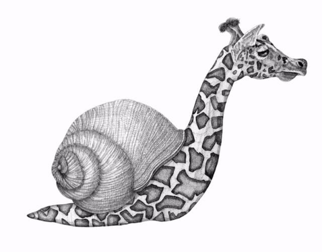 TERRA INCOGNITA. Opere di Arianna Fioratti Loreto