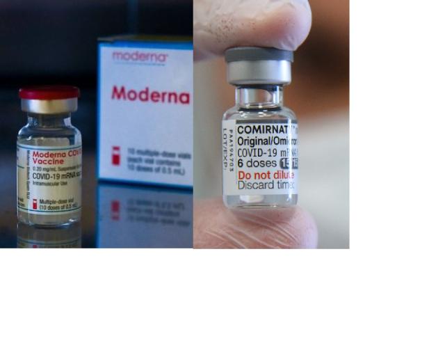 Vaccini Covid, la Polonia contro Pfizer: "Rinegozi i contratti, vuole solo guadagnare altro denaro"