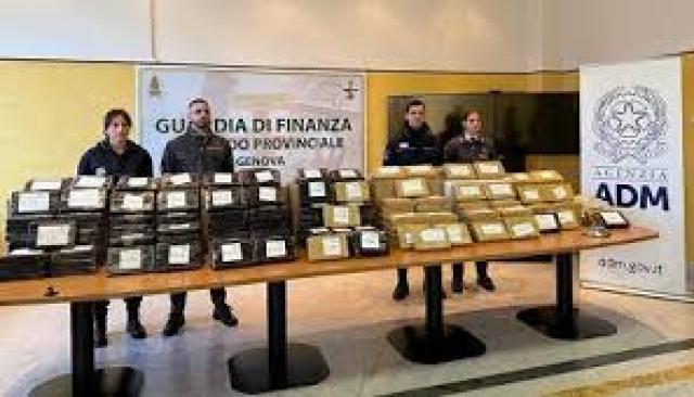 Genova, tra le scatolette di tonno erano nascosti 240 chilogrammi di cocaina, maxi sequestro in porto