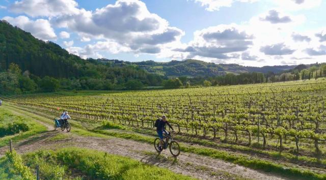 Pedalare tra i vigneti