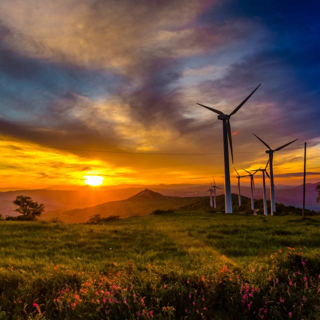 Edison, avviati cantieri per 50 MW di nuova capacit&agrave; rinnovabile in Puglia; investimenti complessivi pari a 80 milioni di euro