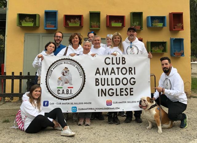EVENTO PER CANI, IL 4 MAGGIO IN BRIANZA TORNA IL PI&Ugrave; GRANDE INCONTRO DEDICATO AI BULLDOG INGLESI: AL PARCO LA 28&ordf; EDIZIONE DEL #BULLDOGDAY PROMOSSA DAL CABI