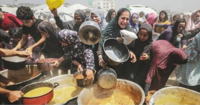 La tesi indecente e folle degli "avvocati per Israele": "La guerra fa bene all'obesit&agrave; della popolazione di Gaza"