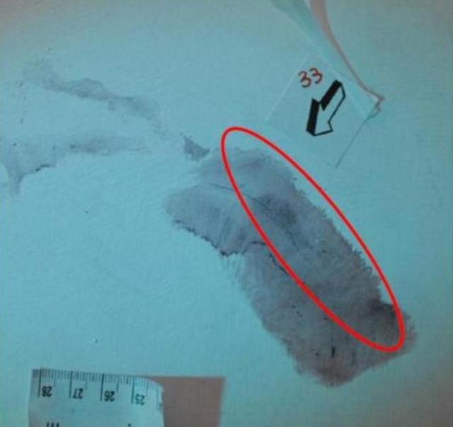 Delitto di Garlasco, "rinvenuta impronta sul muro della mano di Andrea Sempio vicino al corpo senza vita di Chiara Poggi"