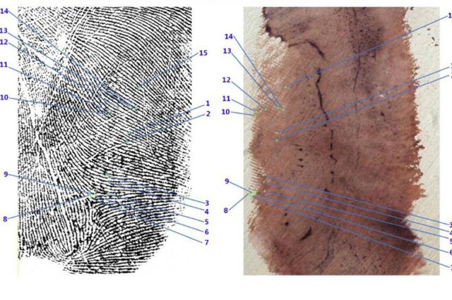 Garlasco, 6 impronte palmari ignote sul muro accanto al cadavere di Chiara Poggi, procura: "Non avranno mai un'identit&agrave;"