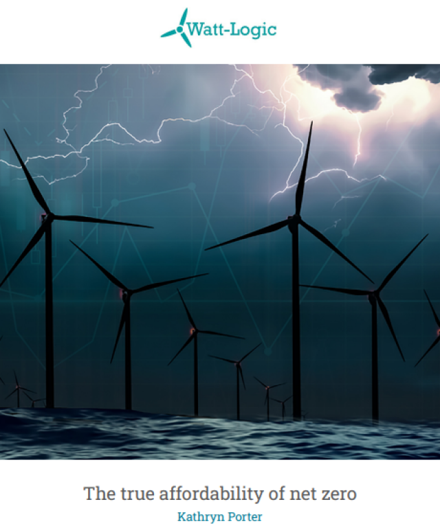 Rinnovabili, famiglie britanniche hanno pagato 220mld&pound; in pi&ugrave; per energia a causa della politica green di Westminster - lo STUDIO di Watt-Logic