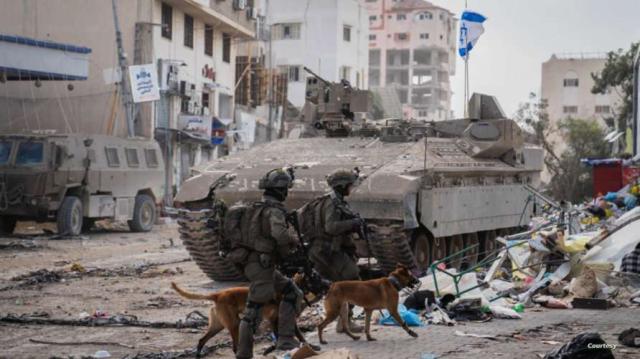 Gaza cani militari