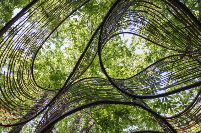 Kengo Kuma_Dynamo Pavillion_2025_OCA Oasy Contemporary Art_&copy;Mattia Marasco
