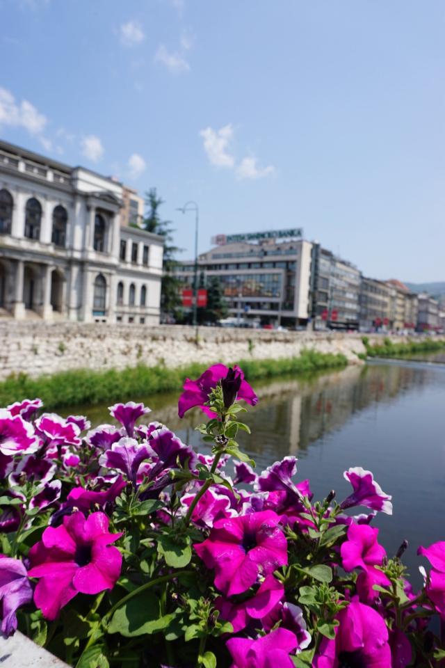 Sarajevo, la fenice poetessa