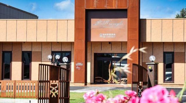 Radici Rivelate: la Barbera d&rsquo;Asti come opera vivente