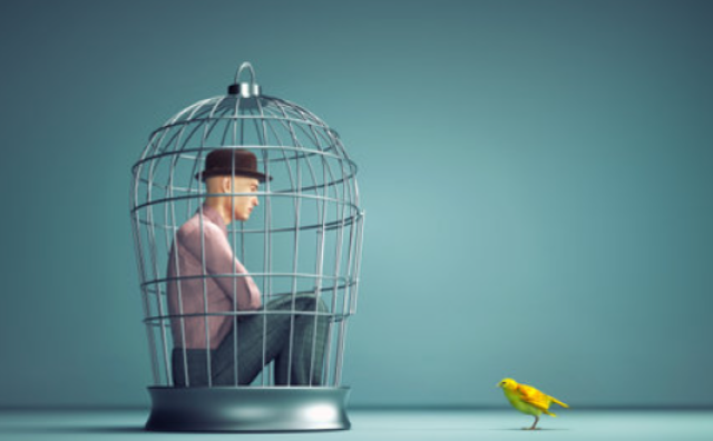 Pensiero orizzontale, cooperativo, libero, evoluto; da Homo Sapiens a Homo Connexus, stop al linguaggio ricorsivo