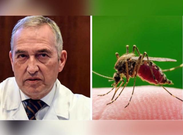 Zanzara West-Nile, direttore Spallanzani Francesco Vaia al GdI: &ldquo;Evitiamo allarmismo inutile, no a vaccino, usare semplicemente repellente&rdquo;