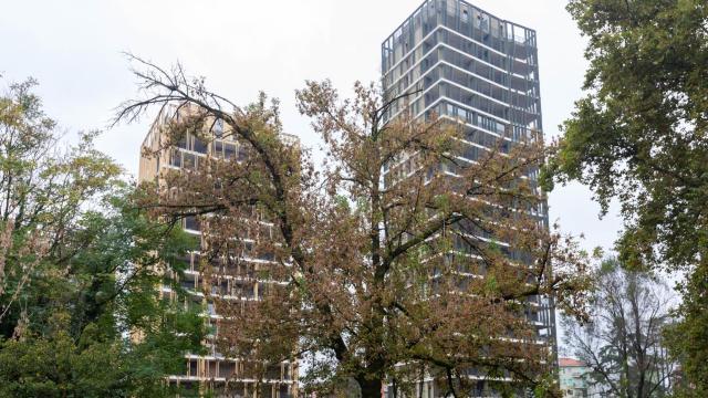 Inchiesta urbanistica Milano, in 6 a processo per le Park Towers di Crescenzago: abuso edilizio, lottizzazione abusiva e falso