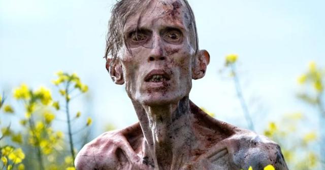 ITALIA BOCCIA L&rsquo;OMS: &ldquo;GRAZIE, MA IL TELECOMANDO DELLA SANIT&Agrave; CE LO TENIAMO NOI&rdquo;