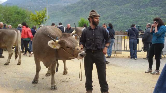 Addio ad Alfio Sassella, morto a 55 anni dopo una "lunga malattia" il custode del Bitto storico e fondatore del movimento "Storico Ribelle"