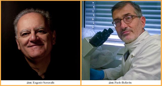 Inquisizione digitale e ortodossia scientifica: il caso emblematico della petizione contro i dottori Bellavite e Serravalle dopo la nomina ministeriale al Nitag