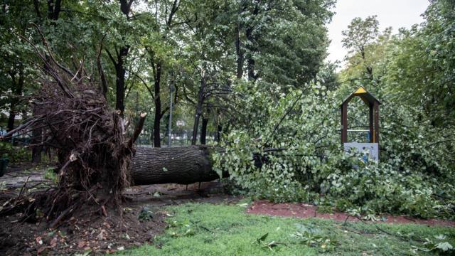 Milano, il Comune decide di tenere i parchi pubblici chiusi domani a causa del previsto forte maltempo
