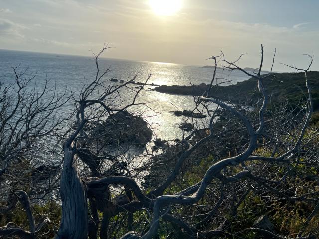 Propaganda e menzogne di guerra: da Cartagine a Gaza e Ucraina, la lunga storia dei nemici inventati