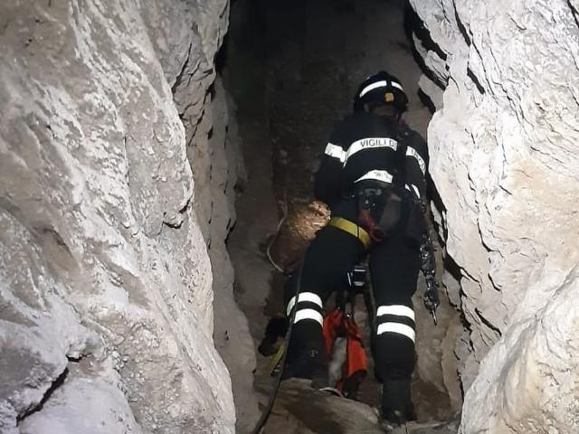 Imperia, il cane cade in un pozzo mentre passeggia con il padrone, intervengono i pompieri e lo salvano