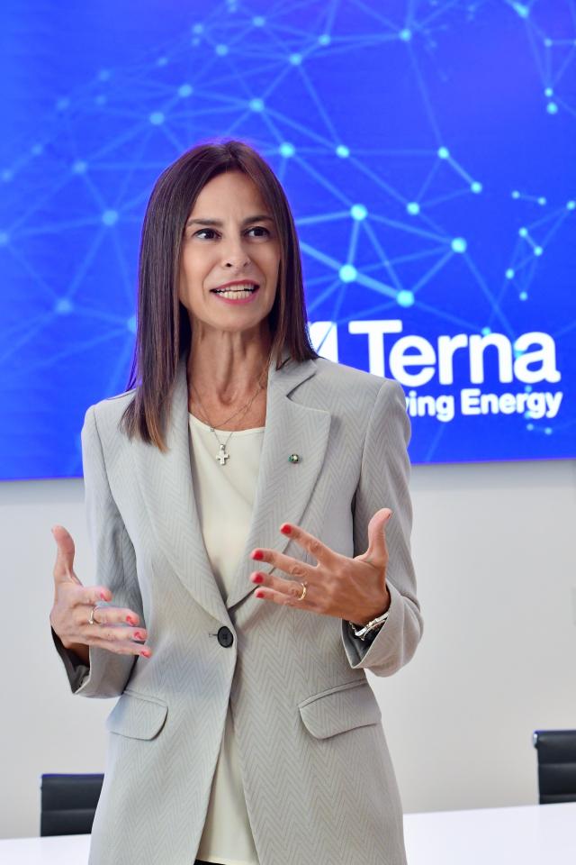 Terna, ultimata l&rsquo;acquisizione di parte della rete in alta tensione, operazione in linea con gli obiettivi del Piano Industriale 2024-2028 