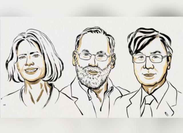 Premio Nobel per la Medicina 2025 a Mary Brunkow, Fred Ramsdell e Shimon Sakaguchi per studi sul sistema immunitario
