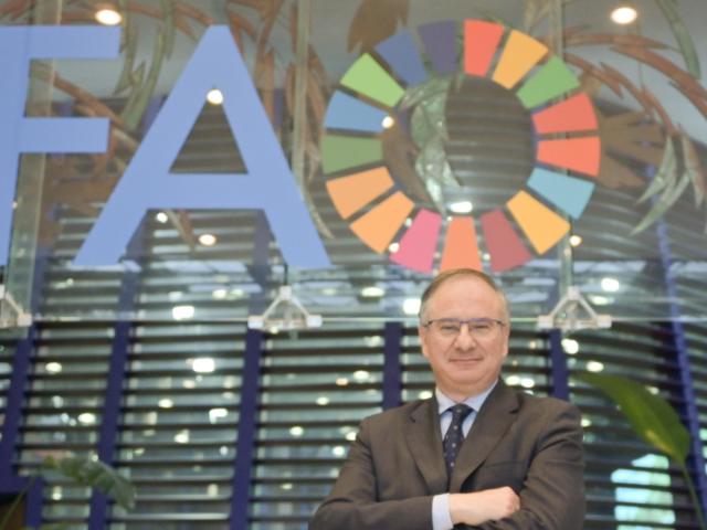 Gaza, Tajani nomina Bruno Archi &ldquo;inviato speciale per la ricostruzione&rdquo;: chi &egrave; l&rsquo;ambasciatore Onu coinvolto nel progetto biennale per la Striscia