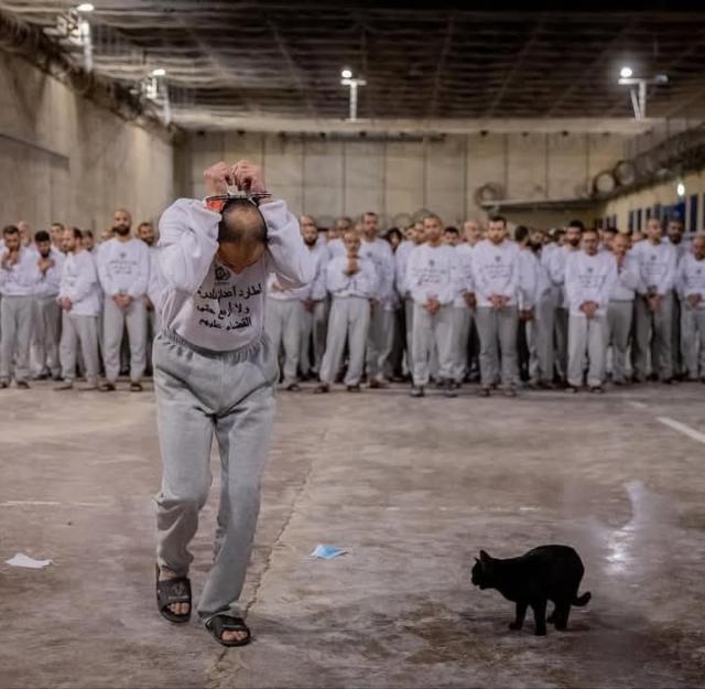 "Israele sottopone giornalisti palestinesi detenuti ad abusi sistematici con torture, stupri e negazione cure mediche" - il REPORT Cpj