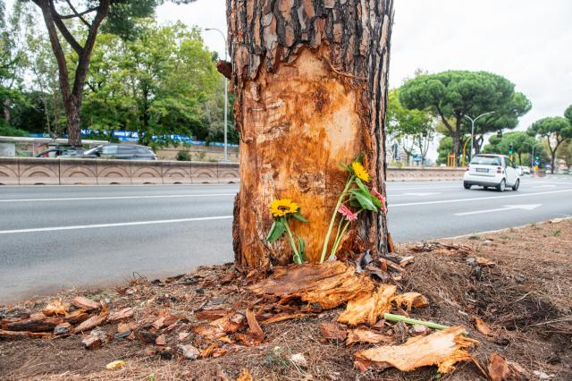 Incidente sulla Colombo a Roma, individuato il conducente dell'altra Bmw: "Non mi sono accorto di nulla, non stavamo gareggiando"