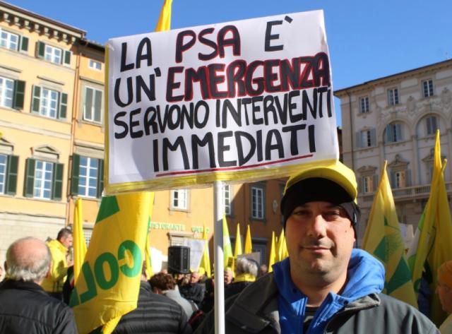 Coldiretti contro la Peste Suina 