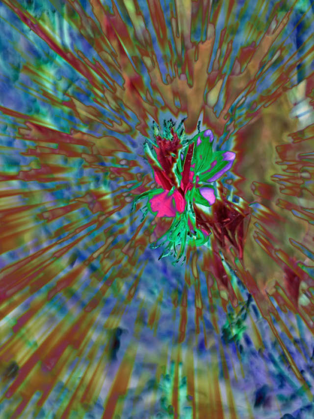 "Hue Shift": una mostra di un fotografo sedicenne a Pavia: Gaddo Menconi Belloni. Quando l'arte &egrave; giovane ma gi&agrave; matura!