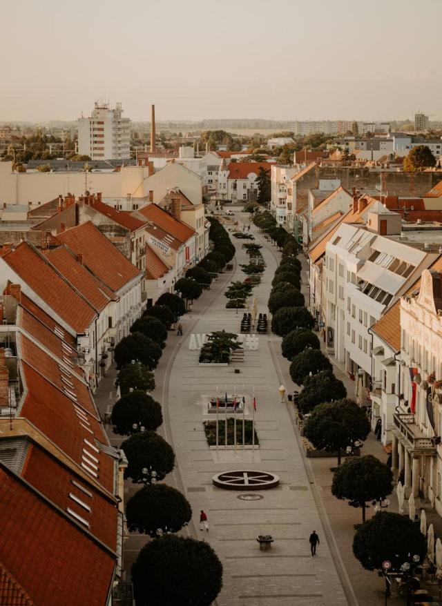 PERSONE ANORMALI - Episodio 36 - Don Ersilio Miccio vendeva saggezza, ma raramente qualcuno gliela comprava!