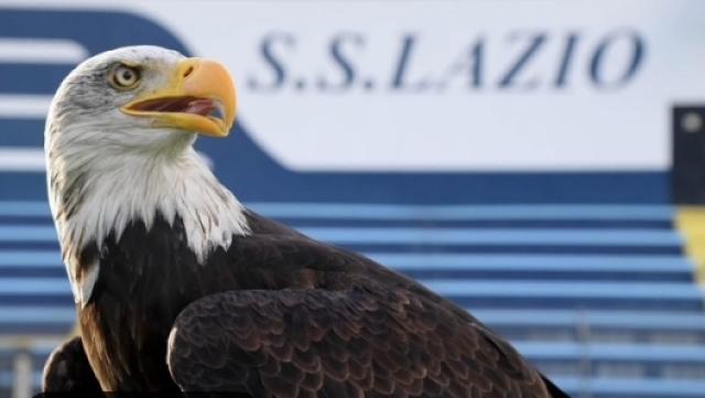 La Lazio Calcio annuncia la nuova aquila e i tifosi vanno in estasi per la presentazione sui social